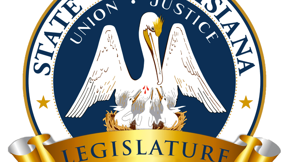 Legislative Leaders Establish Advisory Task Force to Help Jump-Start the Louisiana Economy | NESA