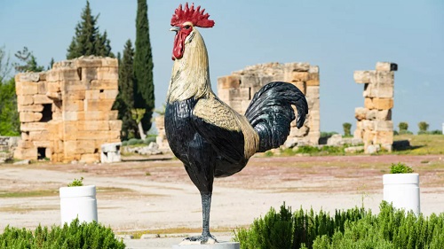 Thieves Make Off With 6-Foot Rooster Statue From Texas Business