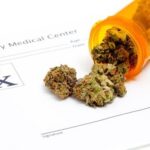 Cannabis Can Dos and Cannots: Employers and Mississippi’s Medical Marijuana Law
