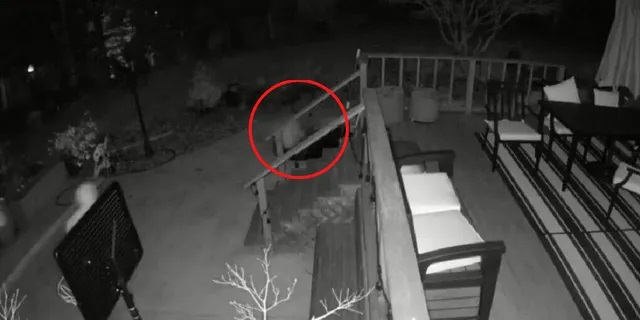 California burglar falls into small pond before burglarizing home, ringing doorbell on way out