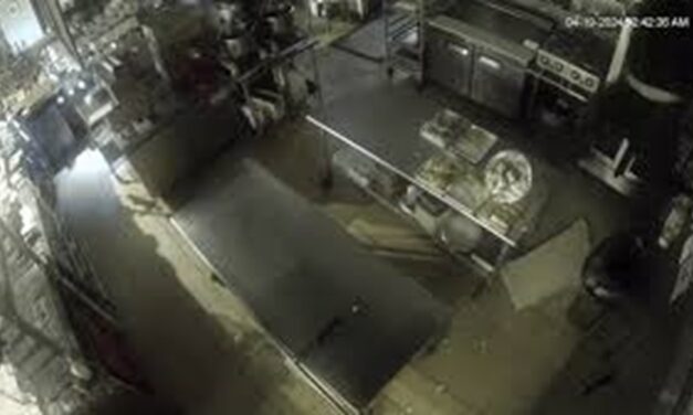Watch: Burglary attempt at Chicago bakery does not go as planned