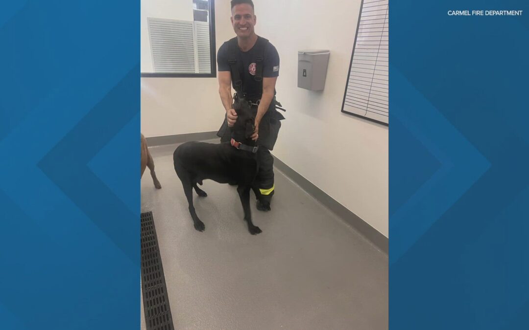 Carmel Fire Department called to pet store after dog pulls fire alarm
