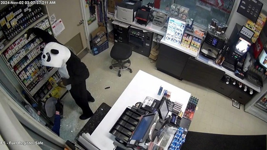 Police look for burglar in panda costume, others involved in Superior gas station thefts