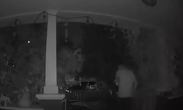California Naked Intruder Breaks Into Echo Park Home And Eats Everything