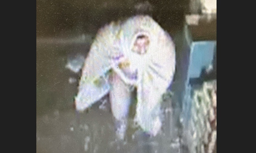 Bizarre Break-In at West Portsmouth Dollar General: Underwear-Clad Burglar Leaves Trail of Lingerie and Blood